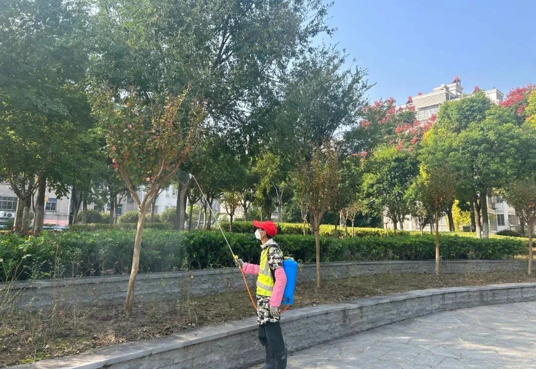 ca3443079843f79dc1a9f1be228b28d4.webp ca3443079843f79dc1a9f1be228b28d4.webp