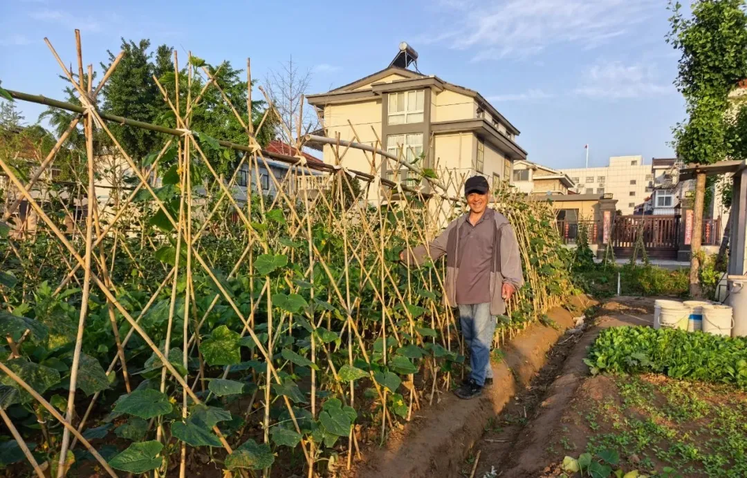 大丰锡剧团这位曾经的舞美厉害了，他把田地变成他演绎的舞台，个个看了伸舌头！