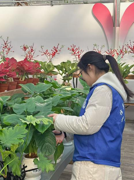 图片12.png 图片12.png