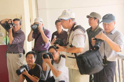 江苏省摄影家晓庄一行重访大丰麋鹿群 大丰市摄影家协会陪同