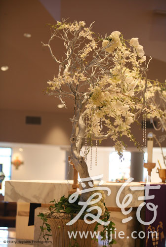 图片/Hilary Hopkins Photography 图片/Hilary Hopkins Photography