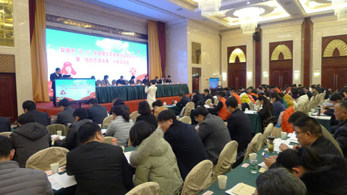 大丰义工联团委参与江苏省新兴青年群体联盟交流活动